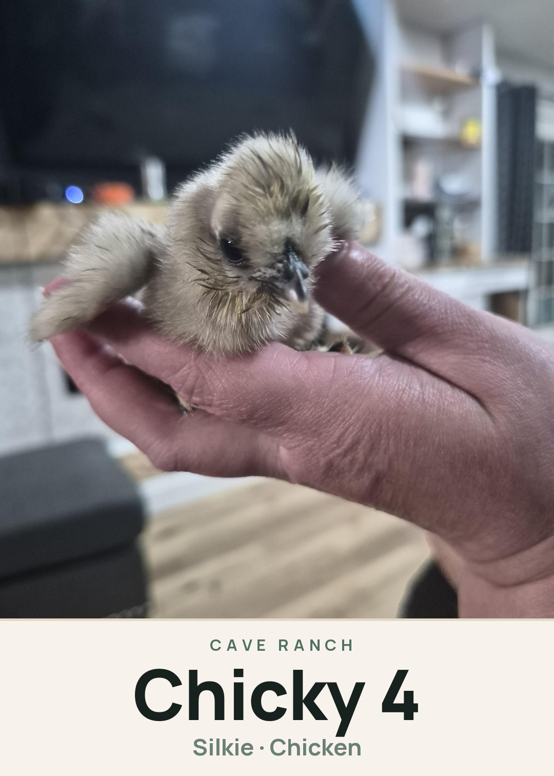Chicky 4 Creature Card