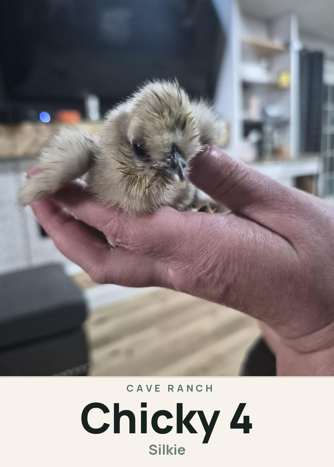 Chicky 4 Creature Card