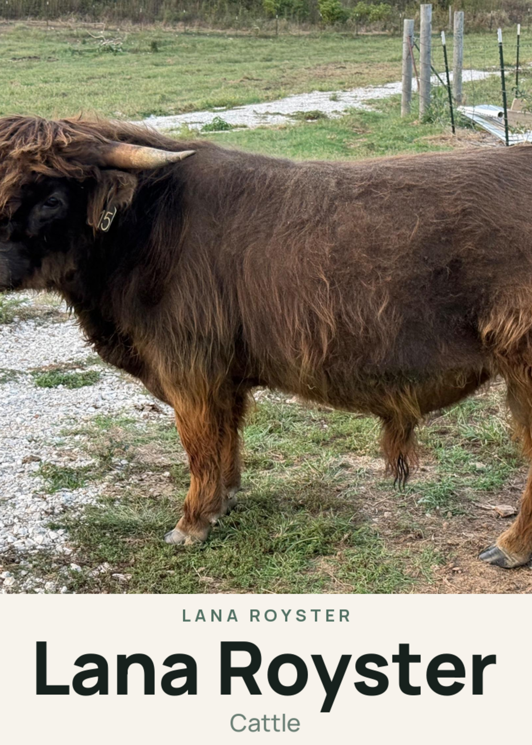 Lana Royster Creature Card