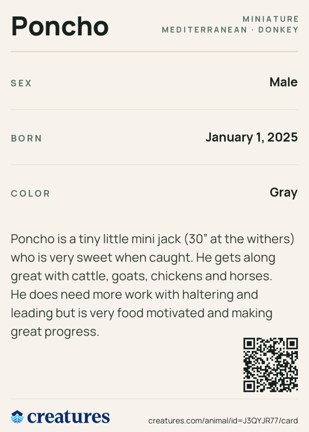 Poncho Creature Card back