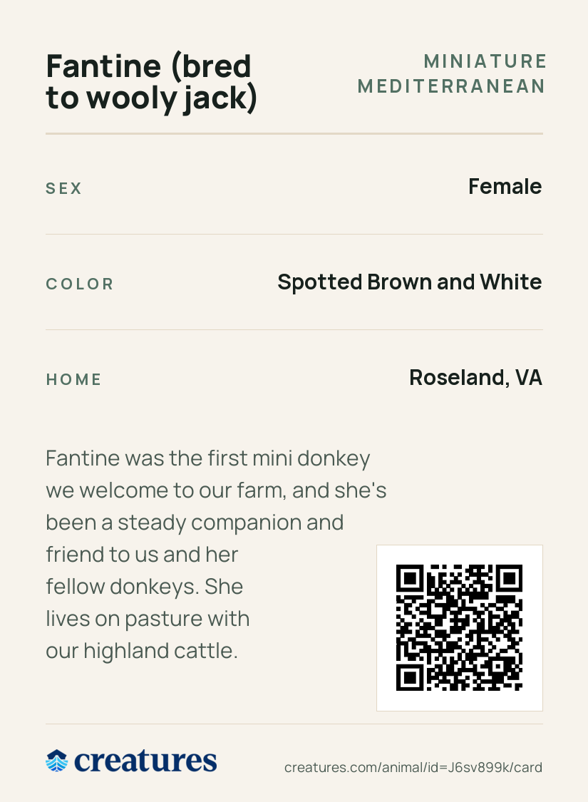 Fantine (bred to wooly jack) Creature Card back