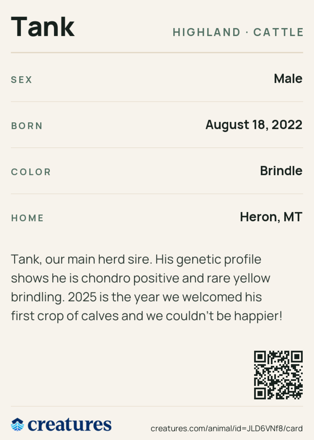 Tank Creature Card back