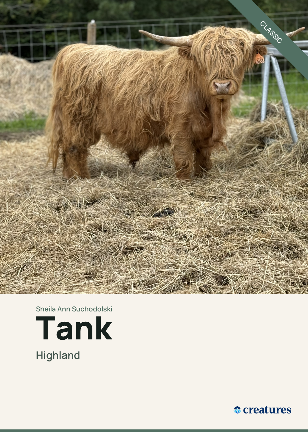 Tank Creature Card