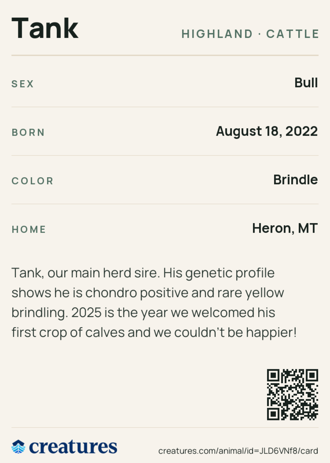 Tank Creature Card back