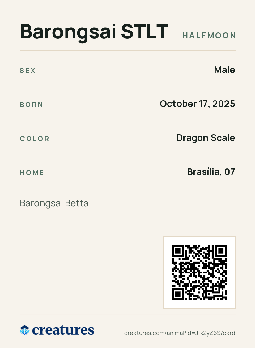 Barongsai STLT Creature Card back