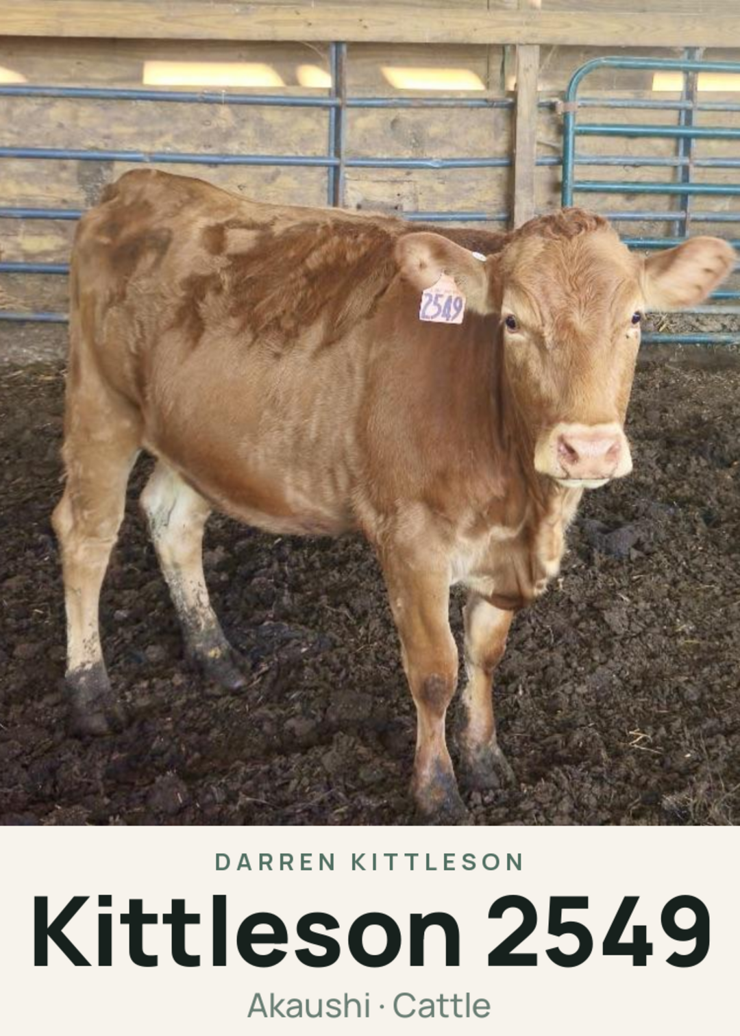 Kittleson 2549 Creature Card