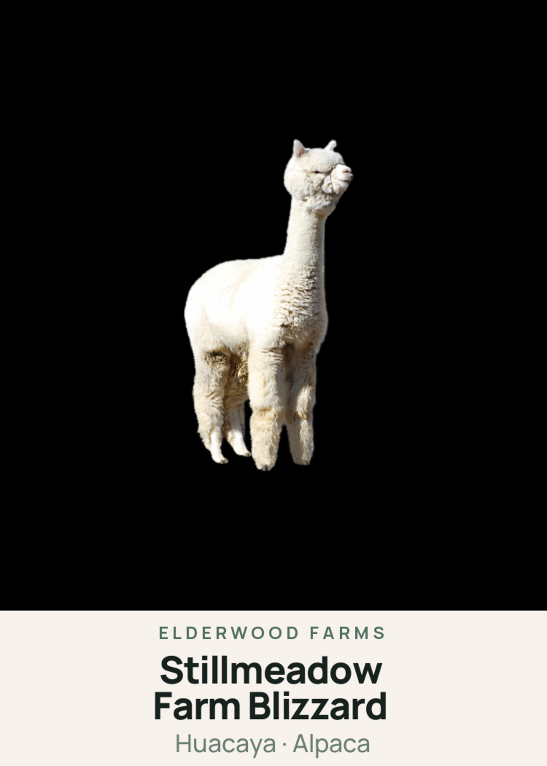 Stillmeadow Farm Blizzard Creature Card