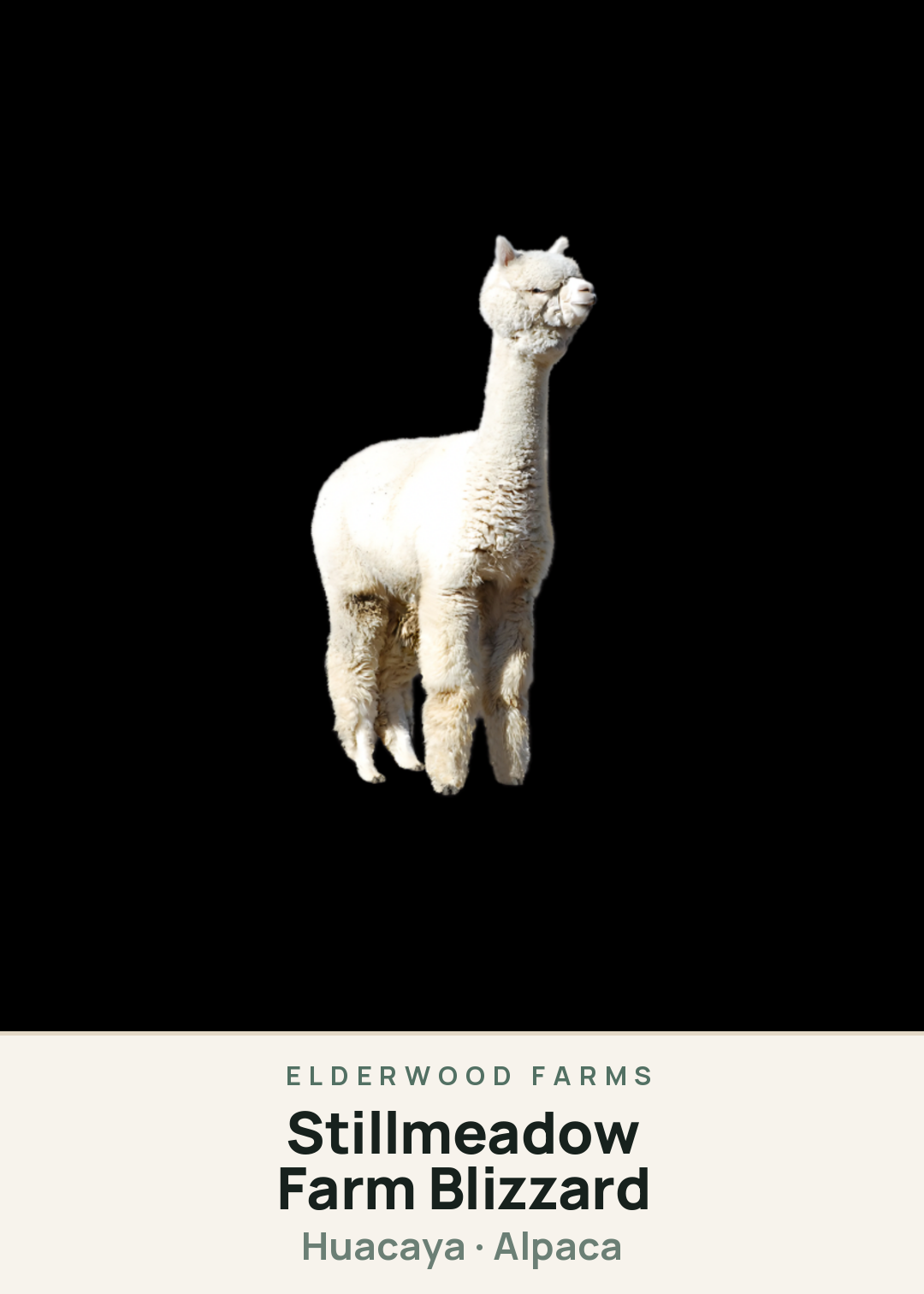 Stillmeadow Farm Blizzard Creature Card