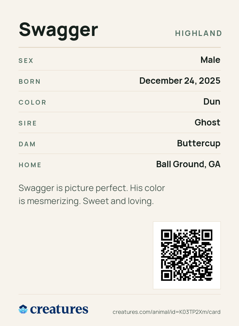 Swagger Creature Card back