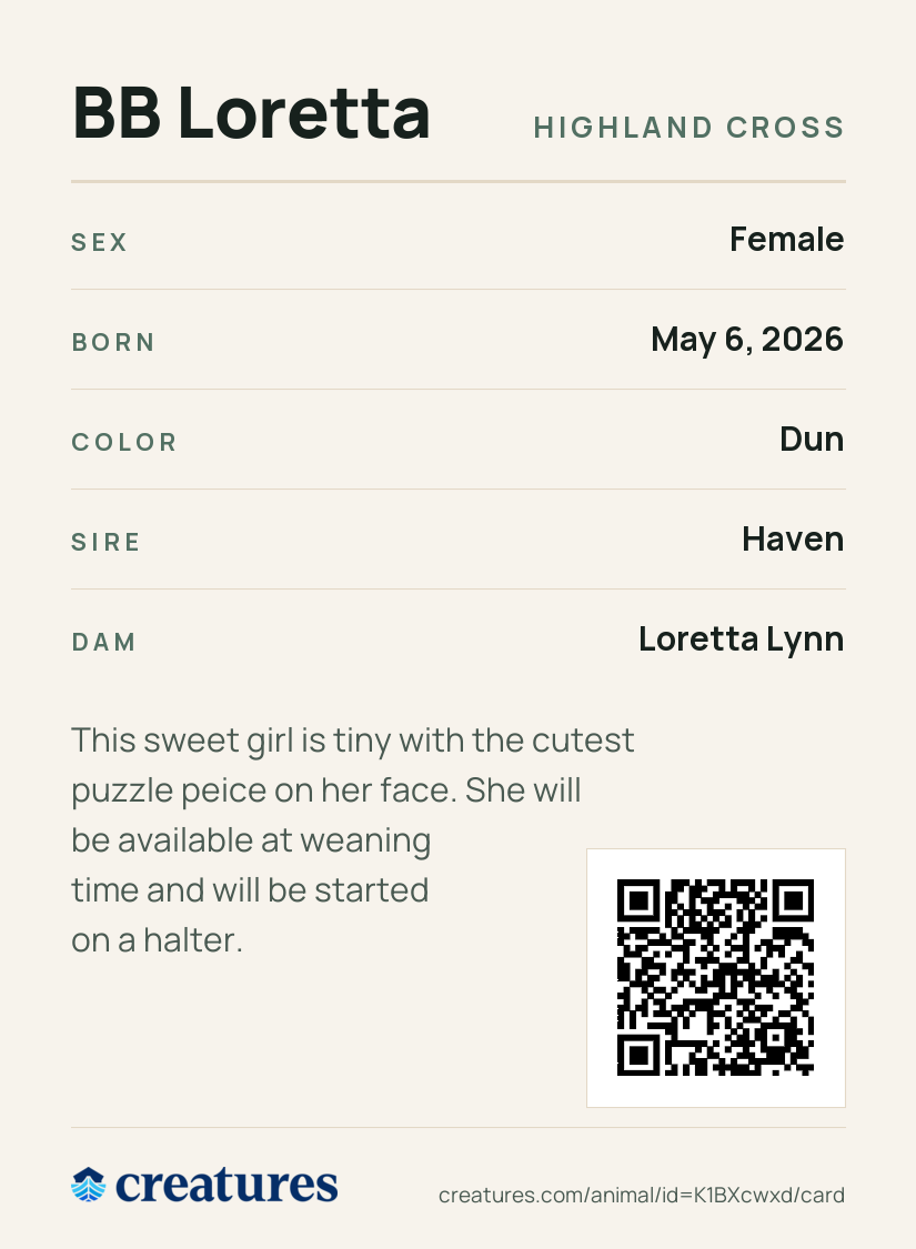 BB Loretta Creature Card back