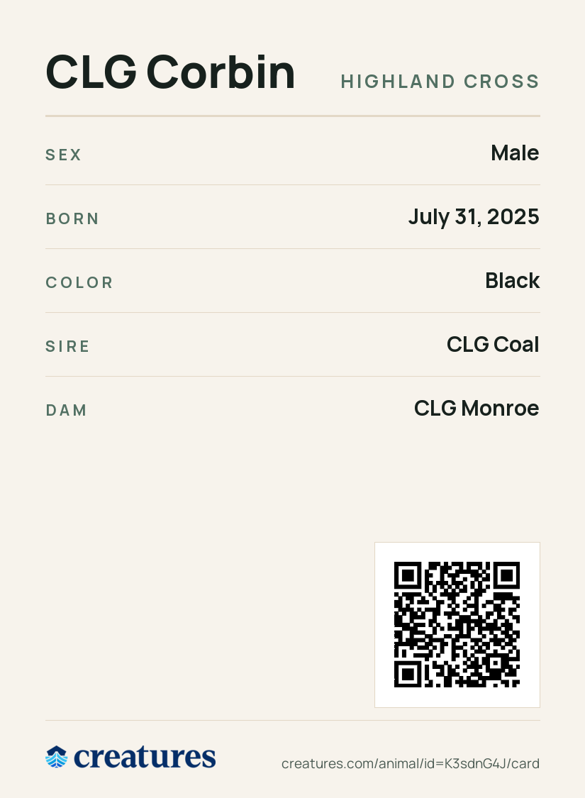 CLG Corbin Creature Card back