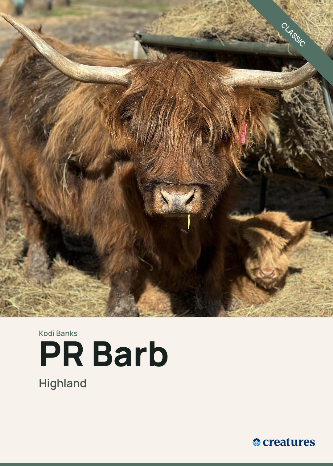 PR Barb Creature Card