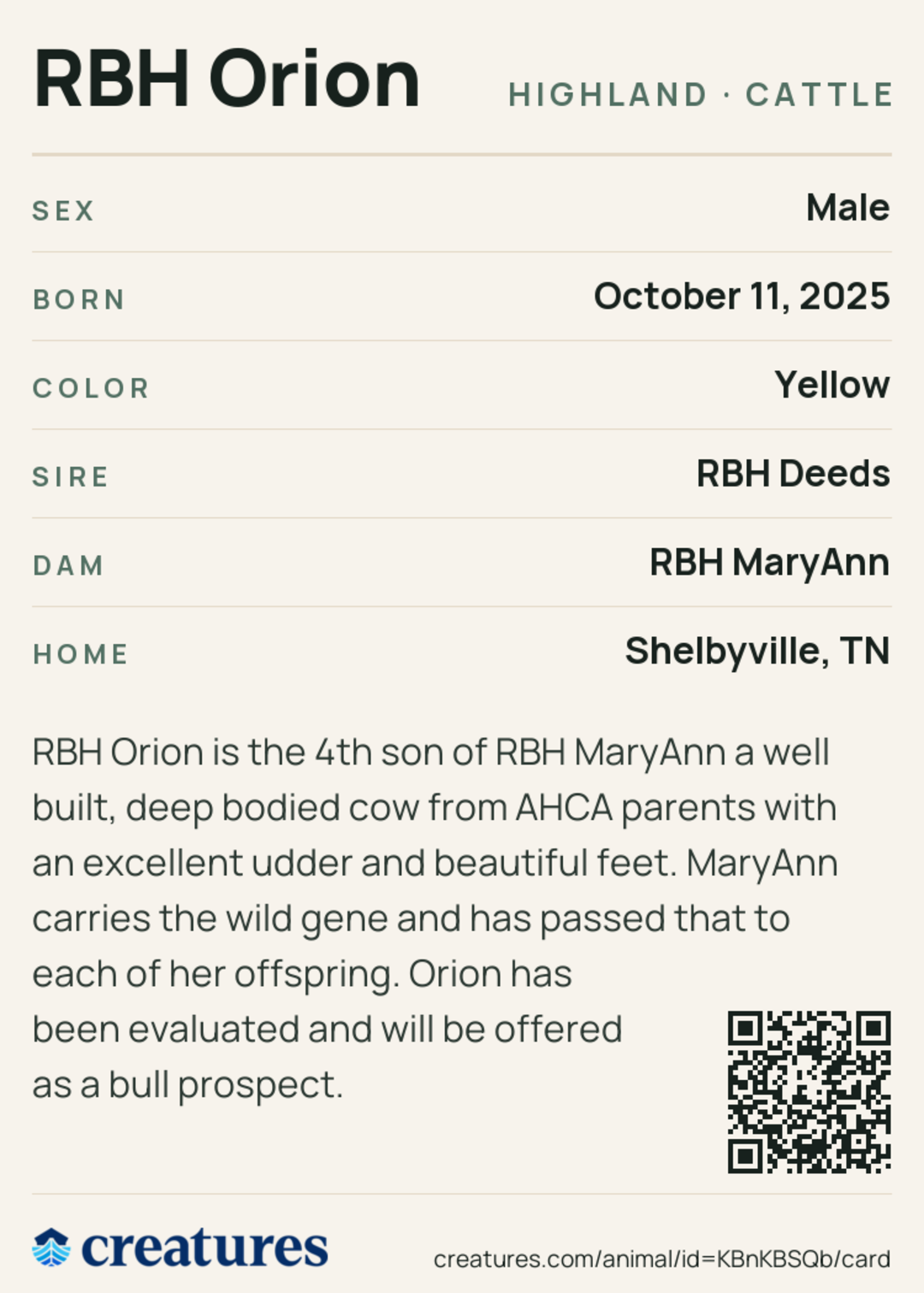 RBH Orion Creature Card back