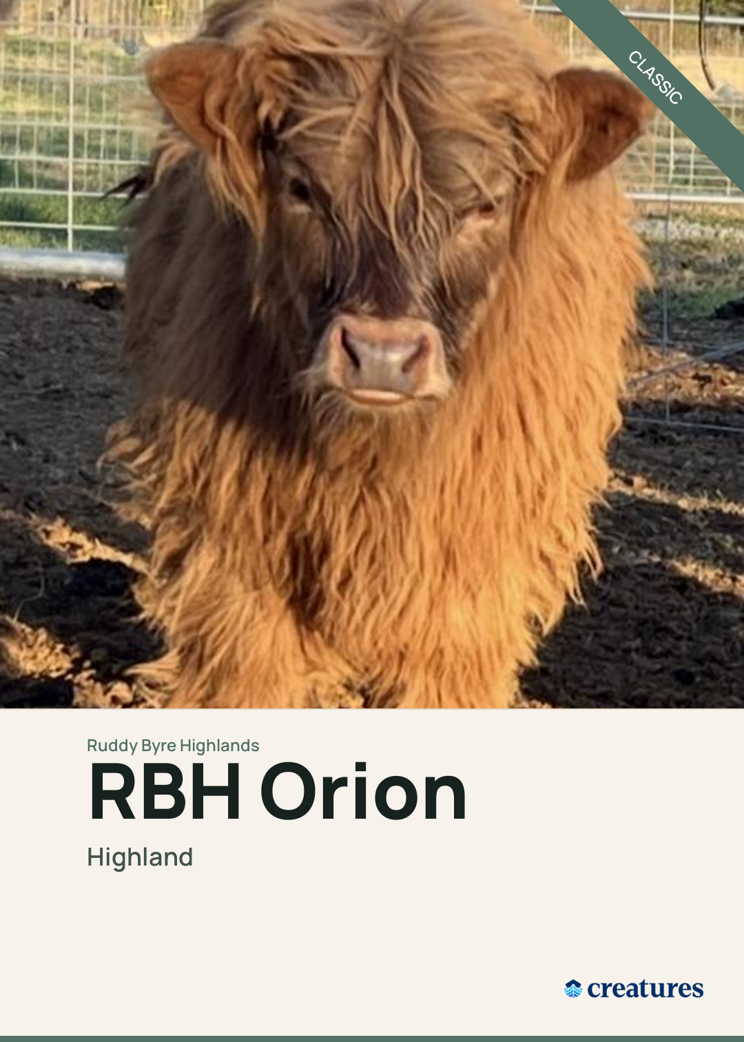 RBH Orion Creature Card