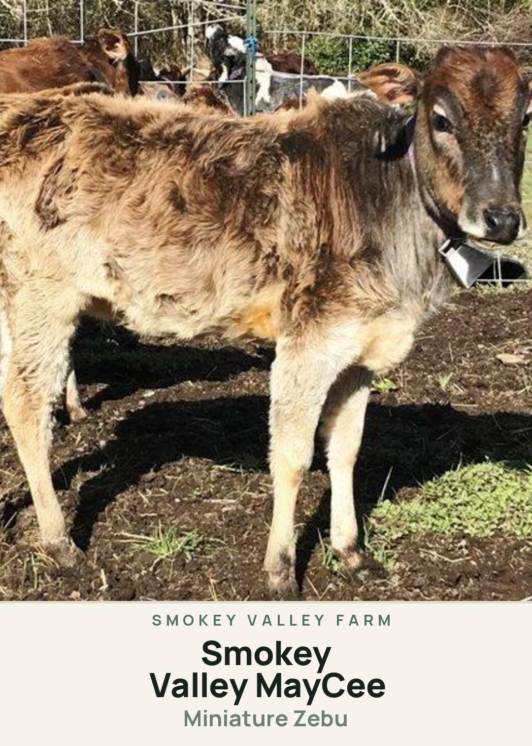 Smokey Valley MayCee Creature Card