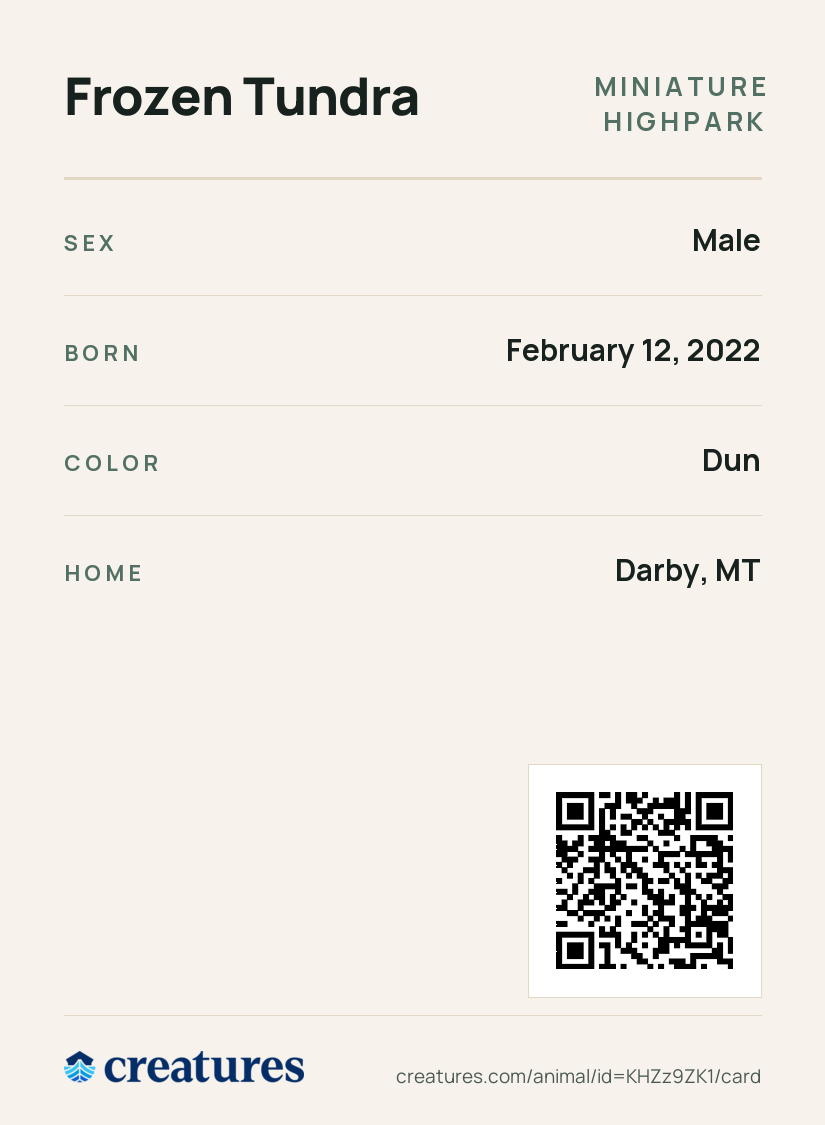 Frozen Tundra Creature Card back