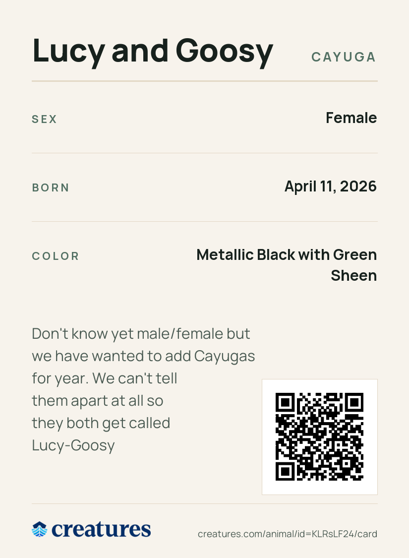 Lucy and Goosy Creature Card back