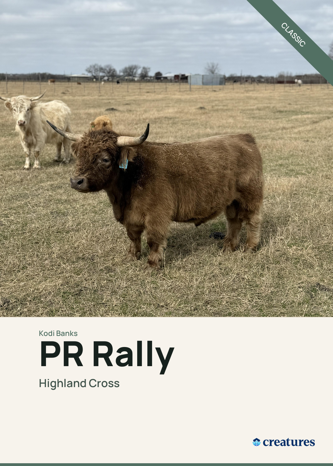 PR Rally Creature Card
