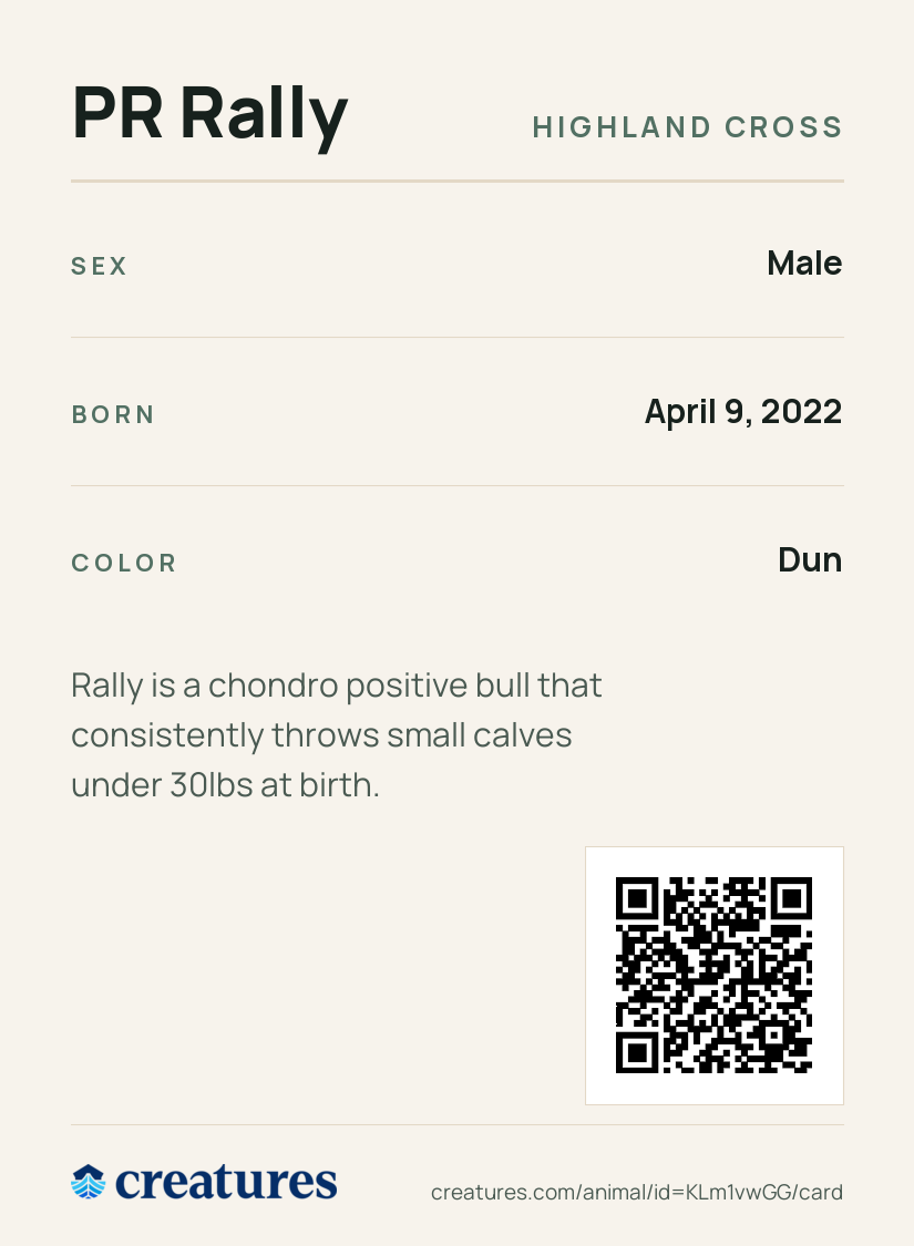 PR Rally Creature Card back