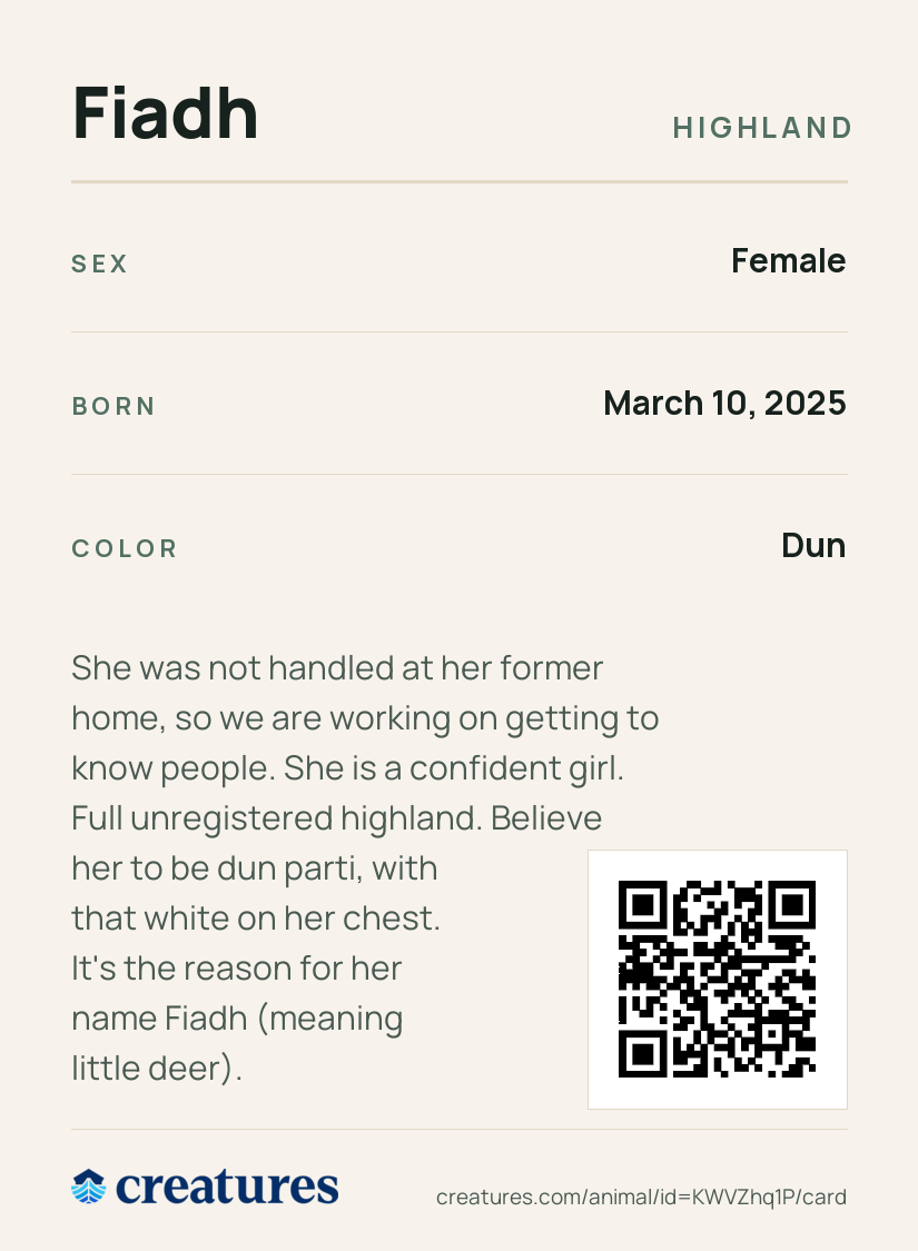 Fiadh Creature Card back