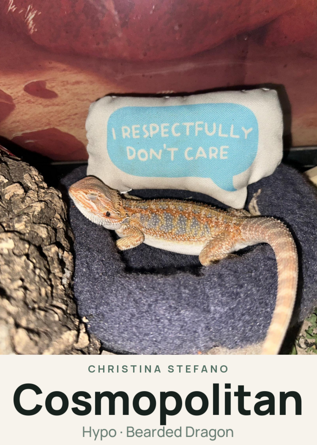 Cosmopolitan Creature Card