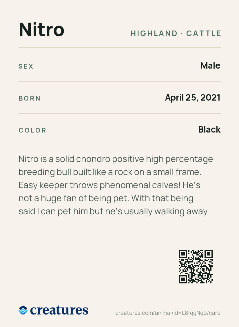 Nitro Creature Card back
