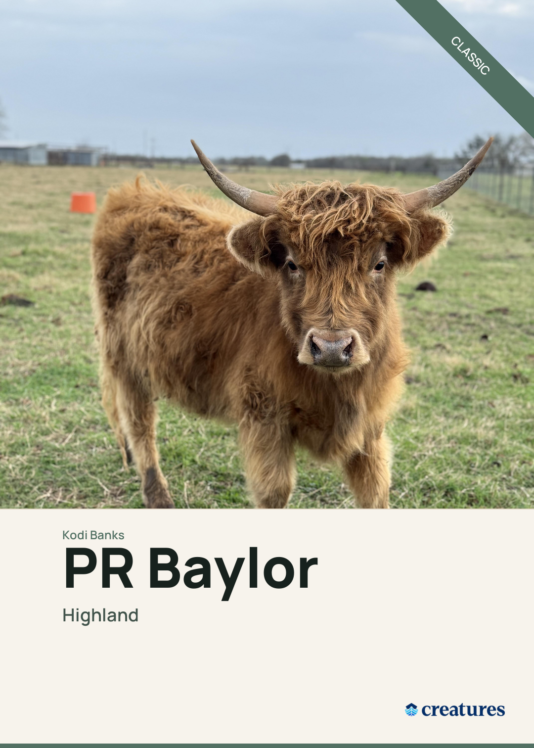 PR Baylor Creature Card