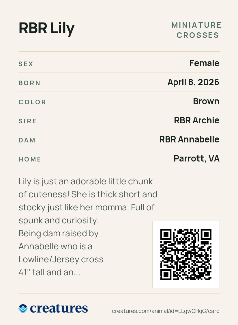 RBR Lily Creature Card back