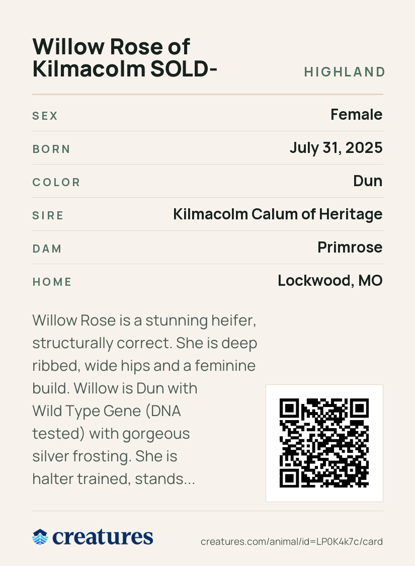 Willow Rose of Kilmacolm -SOLD- Creature Card back