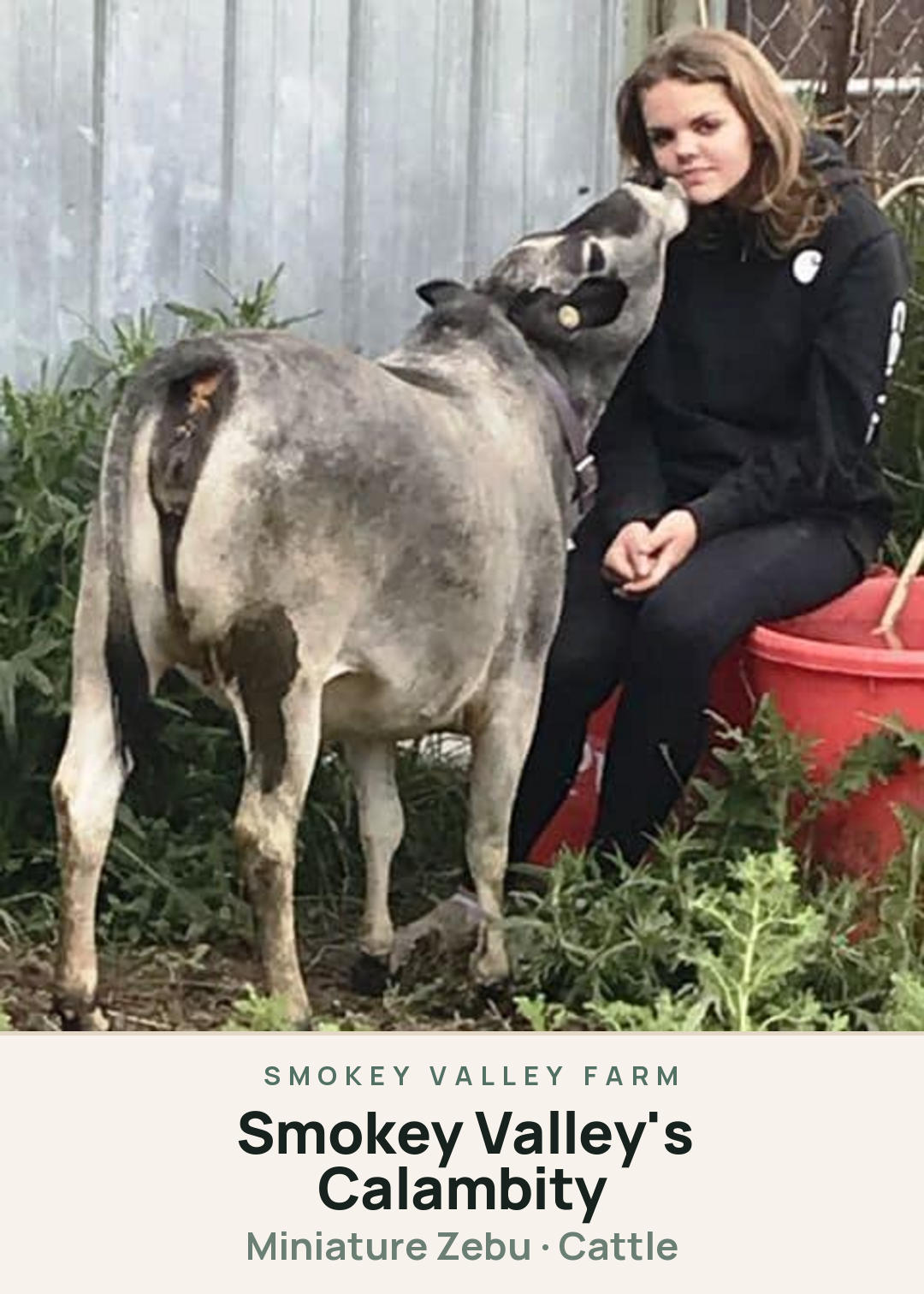 Smokey Valley's Calambity Creature Card