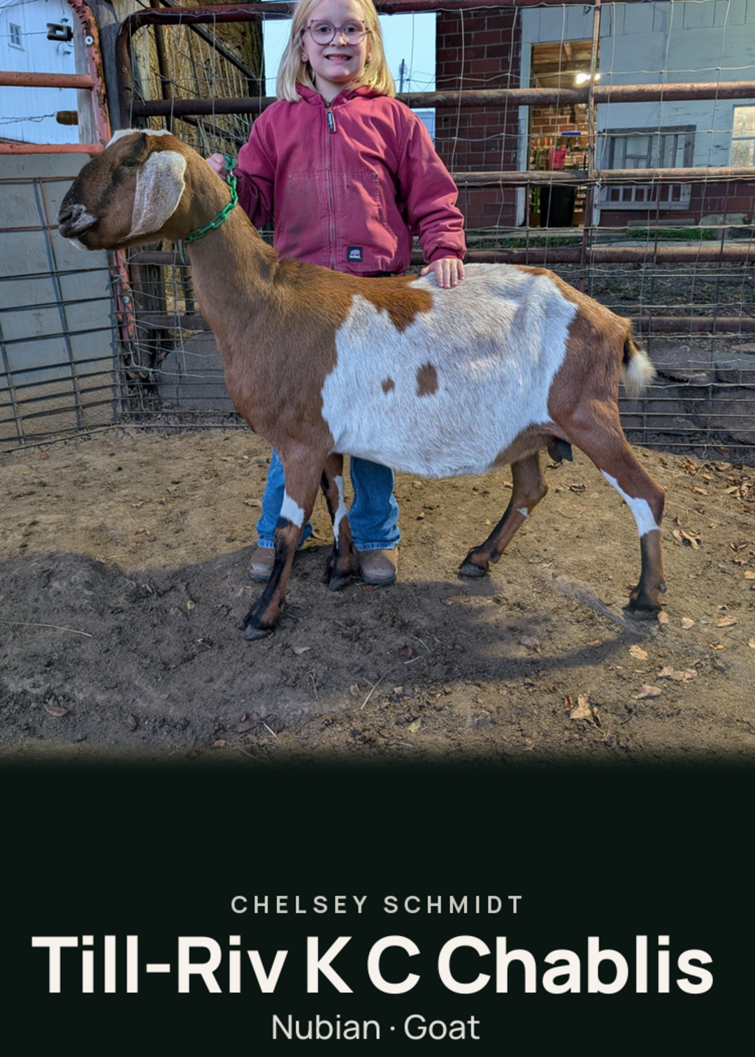 Till-Riv K C Chablis Creature Card