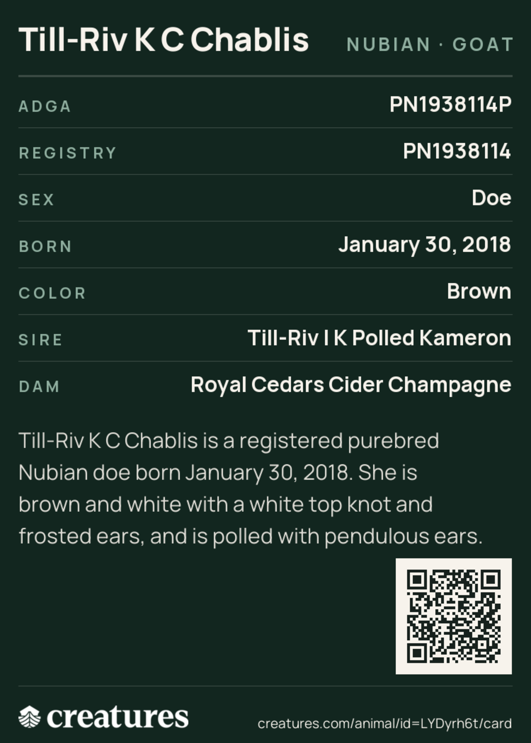 Till-Riv K C Chablis Creature Card back