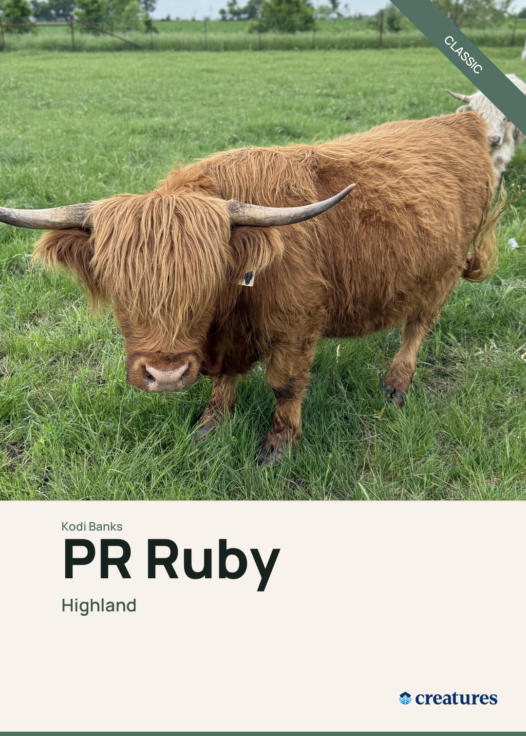 PR Ruby Creature Card
