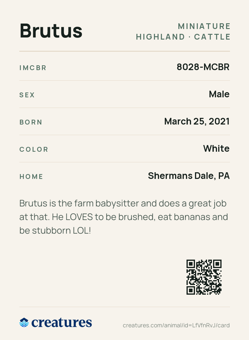 Brutus Creature Card back