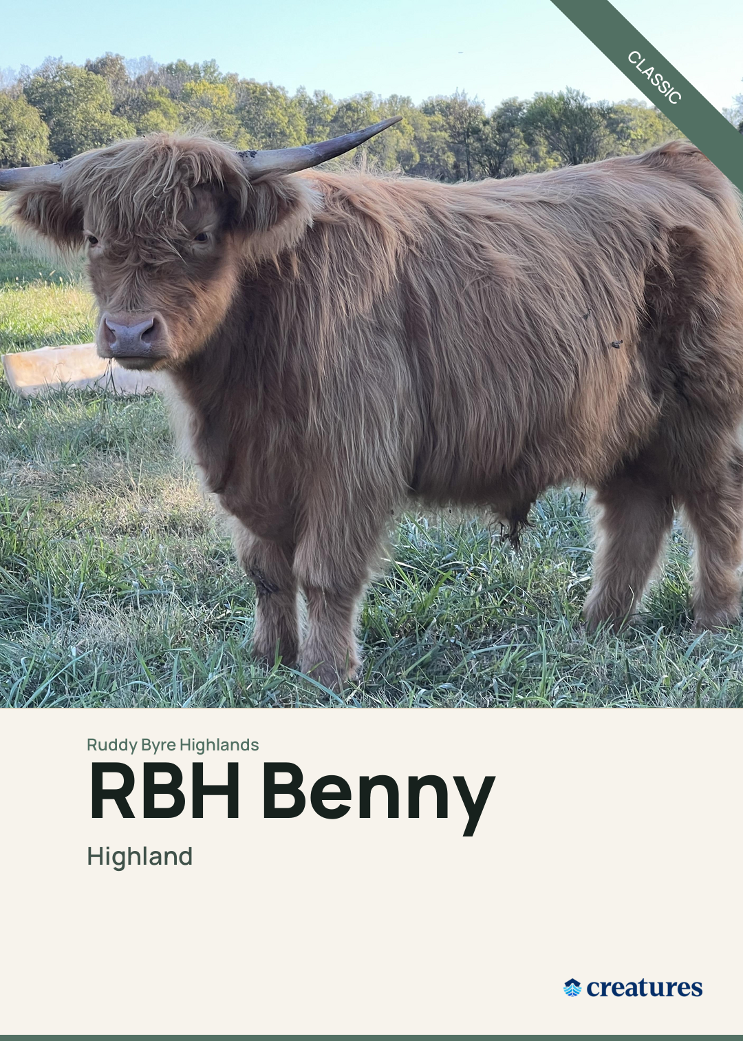 RBH Benny Creature Card