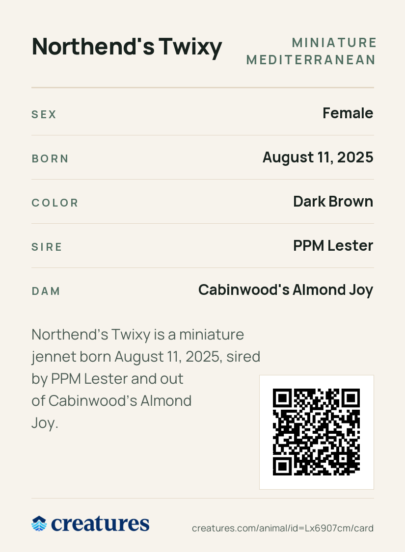 Northend's Twixy Creature Card back