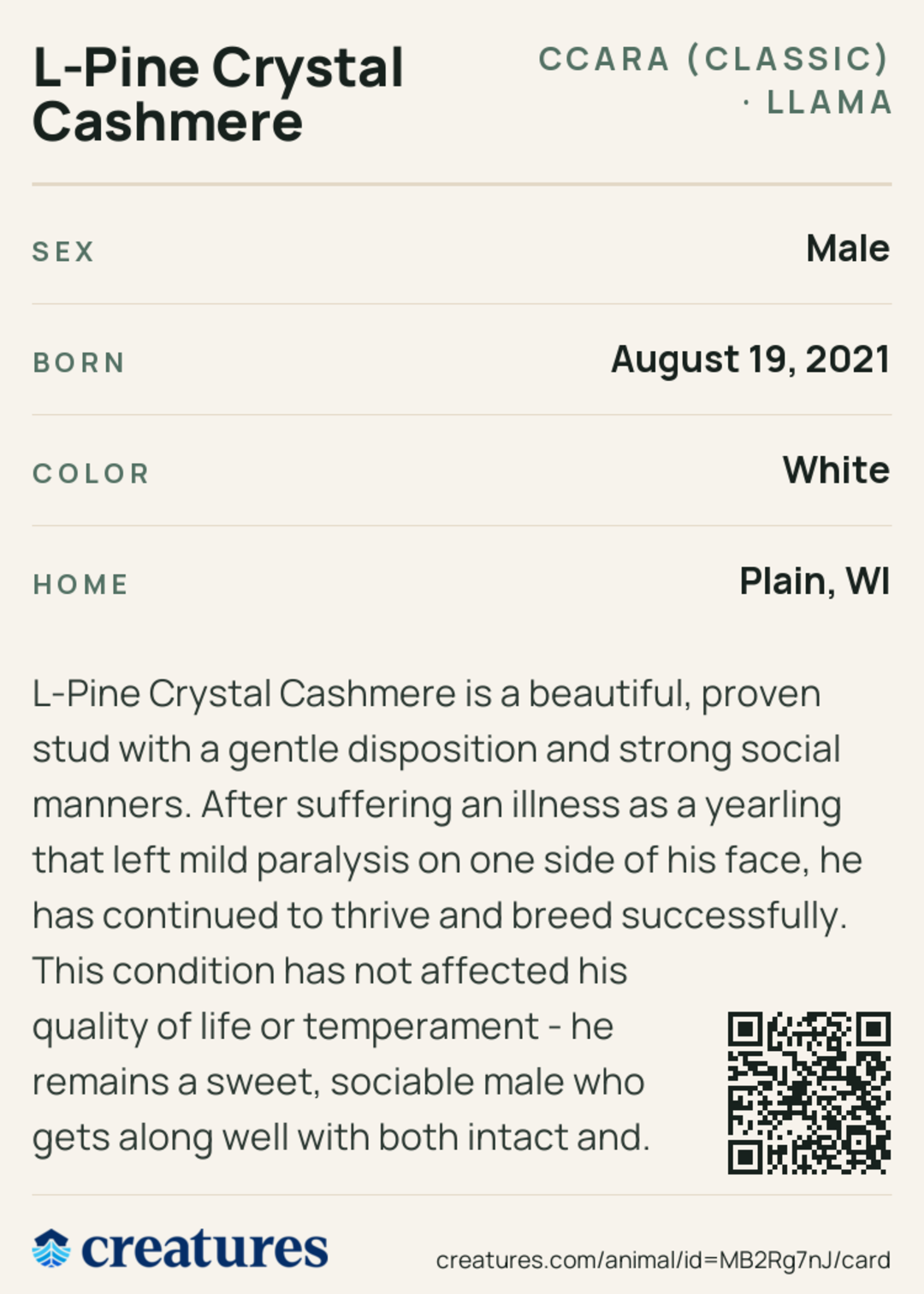 L-Pine Crystal Cashmere Creature Card back