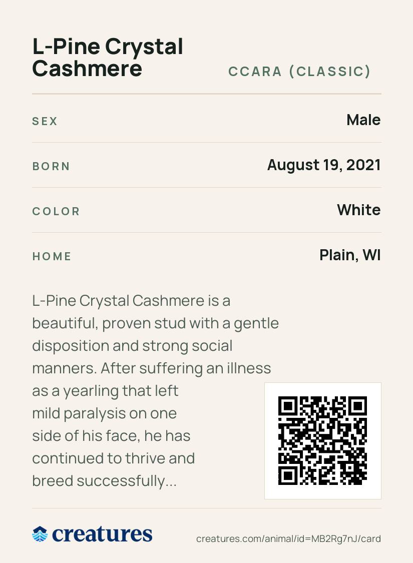 L-Pine Crystal Cashmere Creature Card back