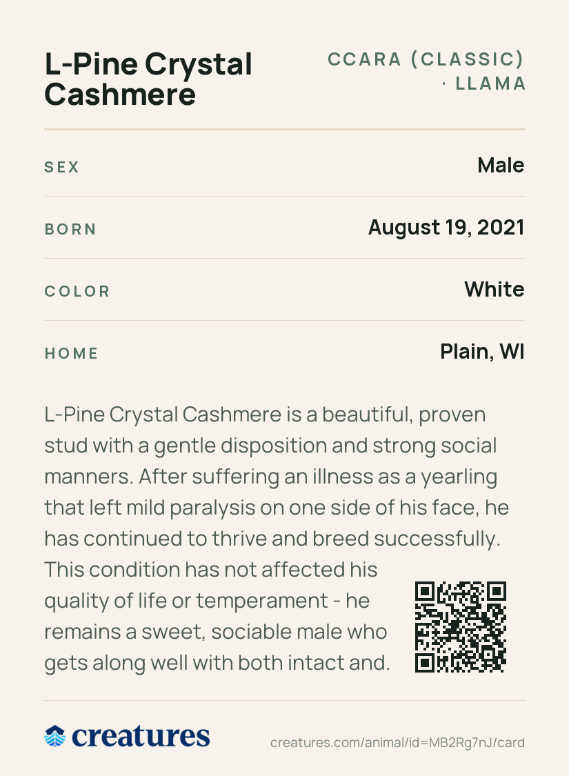 L-Pine Crystal Cashmere Creature Card back