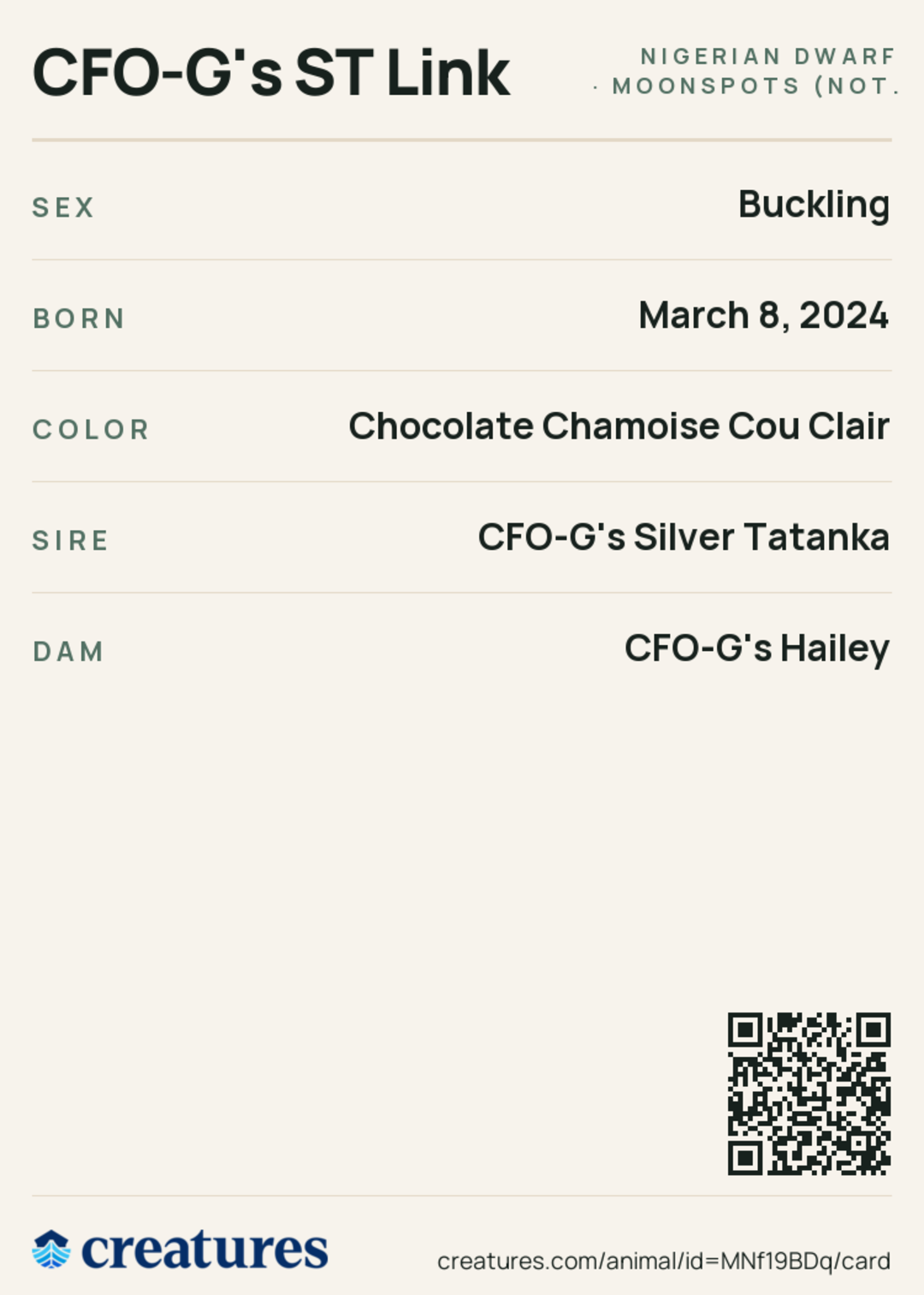 CFO-G's ST Link Creature Card back
