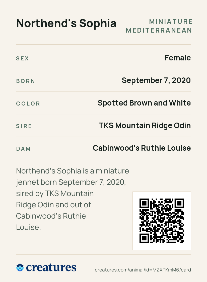 Northend's Sophia Creature Card back