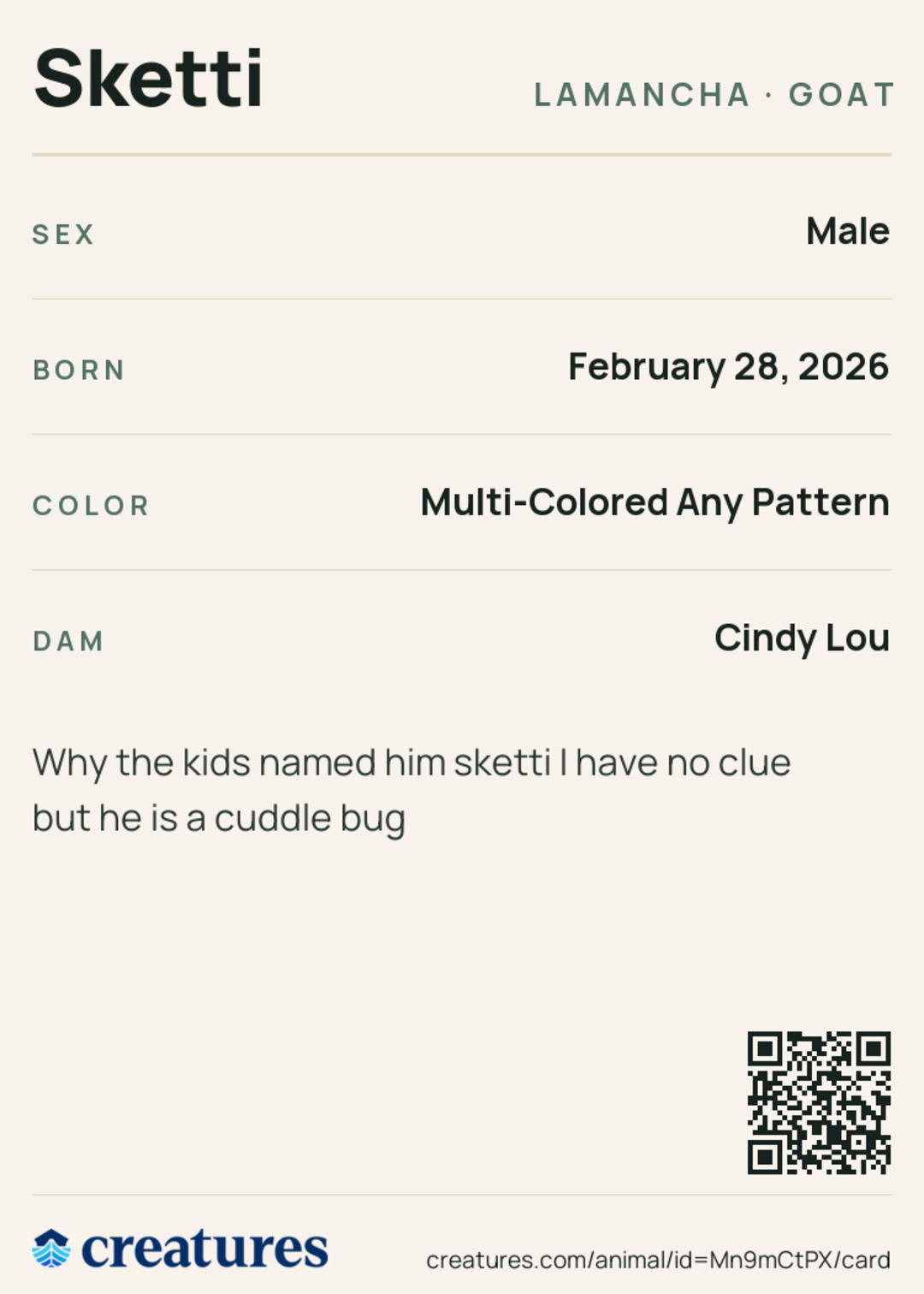 Sketti Creature Card back