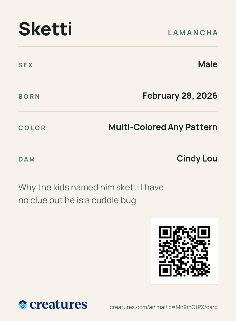 Sketti Creature Card back