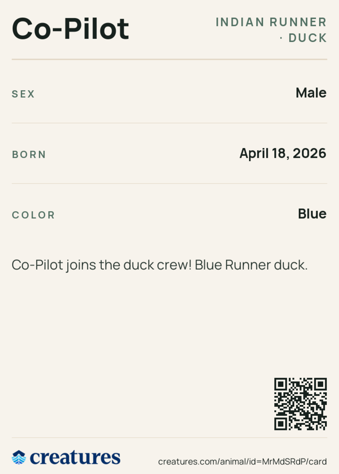 Co-Pilot Creature Card back