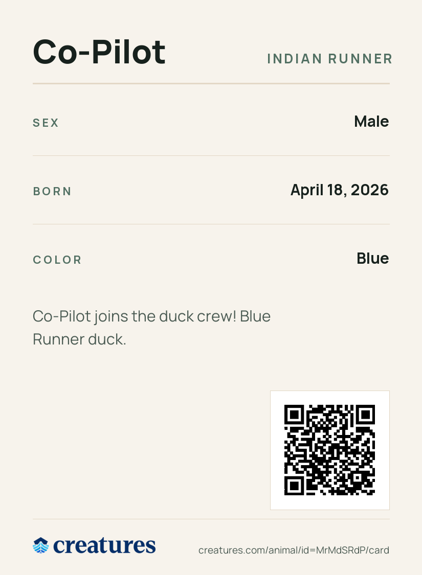 Co-Pilot Creature Card back