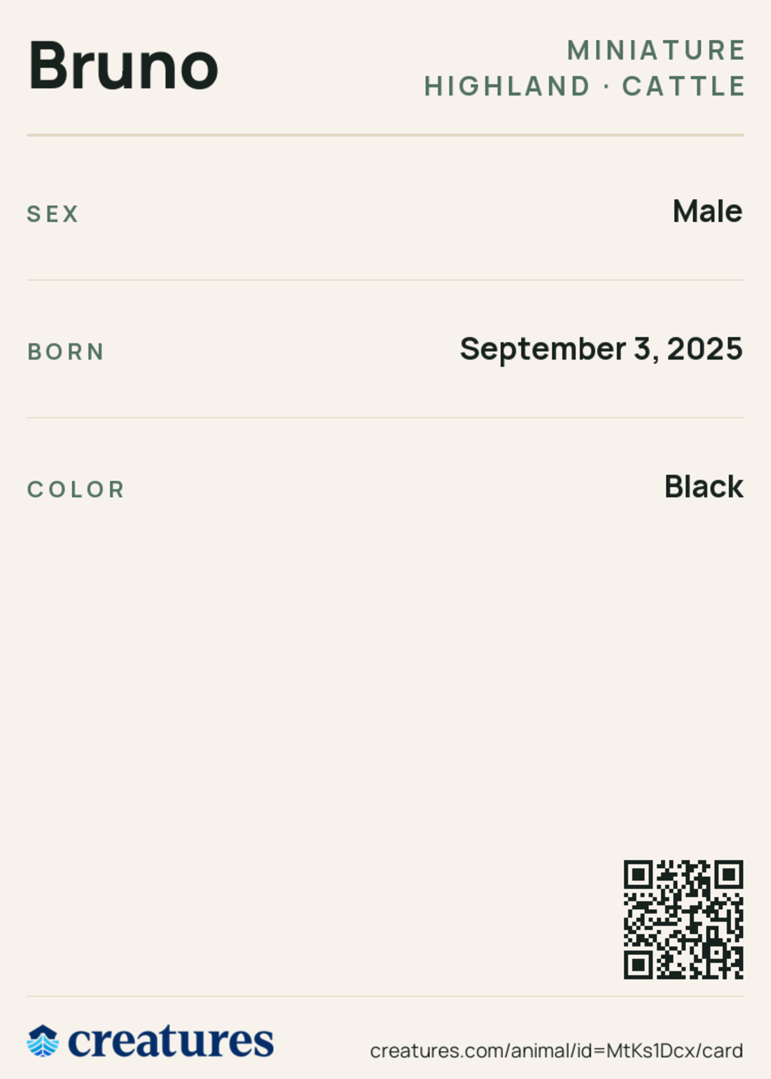 Bruno Creature Card back