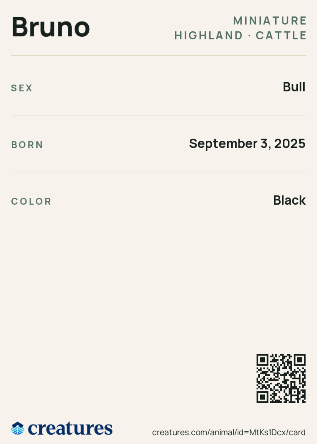 Bruno Creature Card back