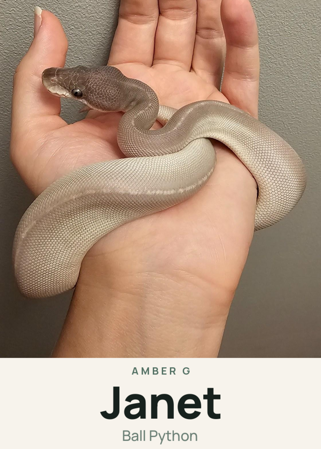 Janet Creature Card
