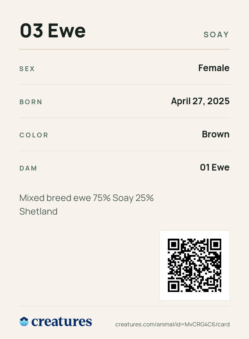03 Ewe Creature Card back