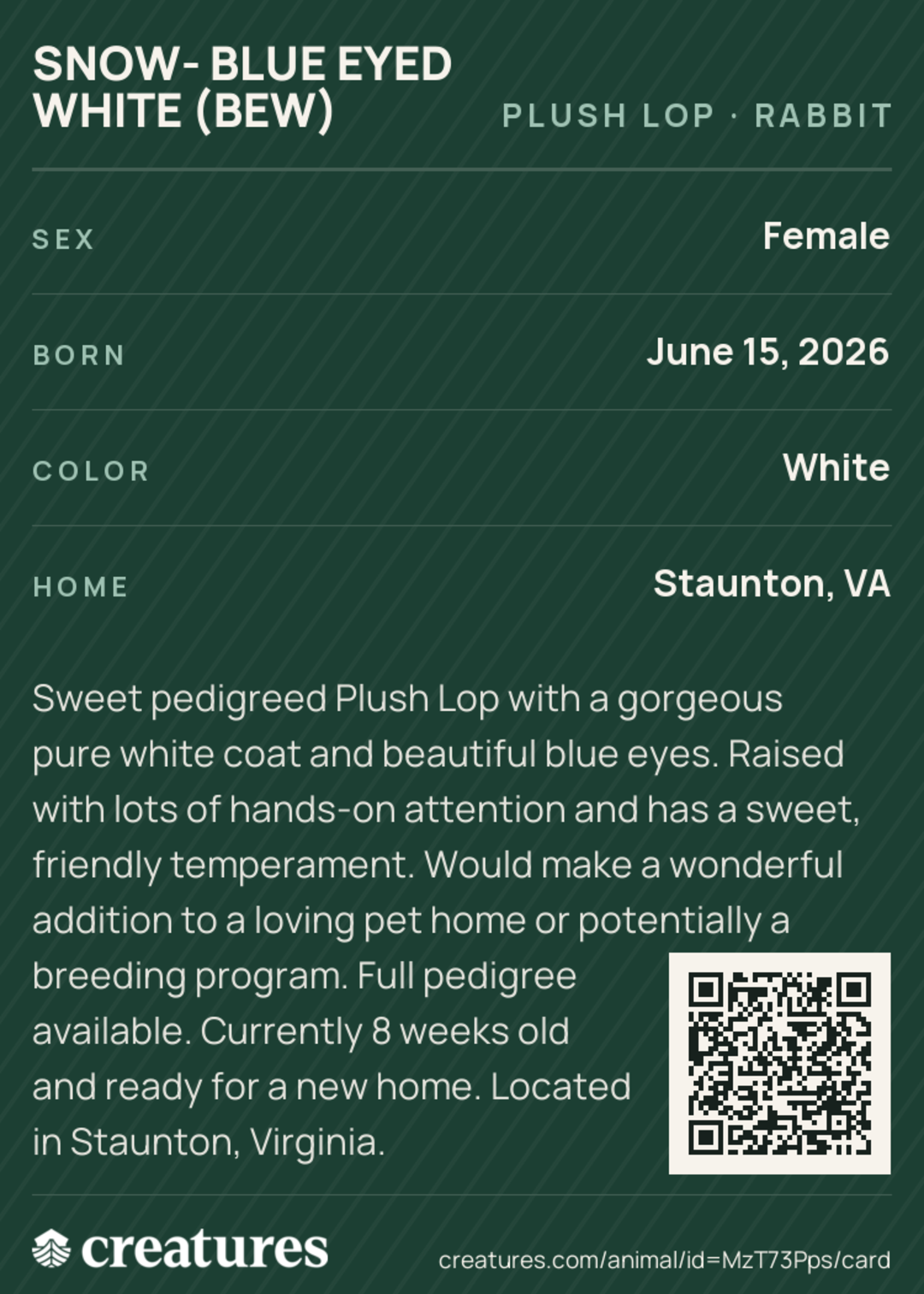 Snow- Blue Eyed White (BEW) Creature Card back